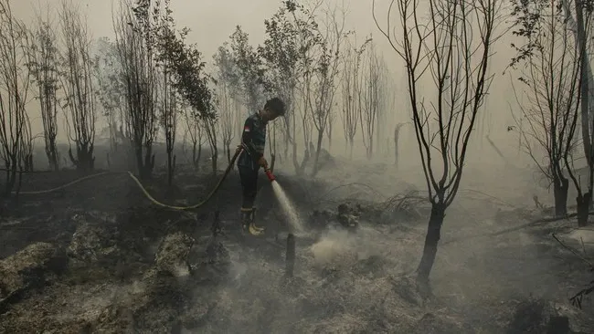 UGM SOROT PENANGANAN KARHUTLA : TEKANKAN PENCEGAHAN BERKELANJUTAN, PENGELOLAAN GAMBUT, HINGGA PERLINDUNGAN HABITAT SATWA LIAR